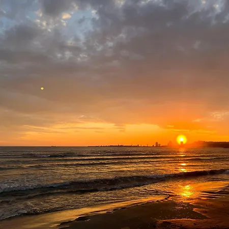 Waves & Wonders